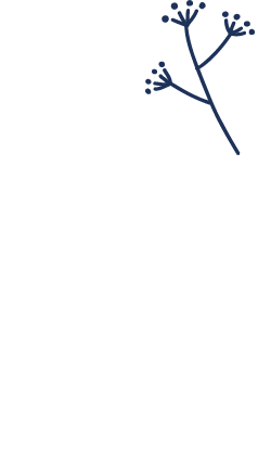 okaerai