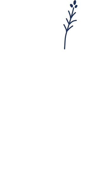 tadaima